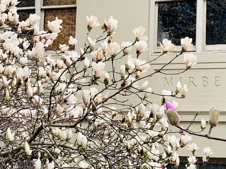 IMG_7198.jpg?type=w966