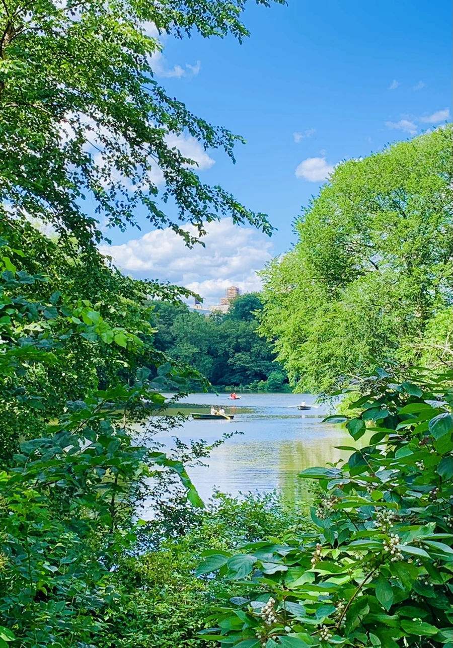 IMG_6399.jpg?type=w966