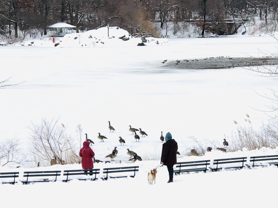 IMG_9504.jpg?type=w966