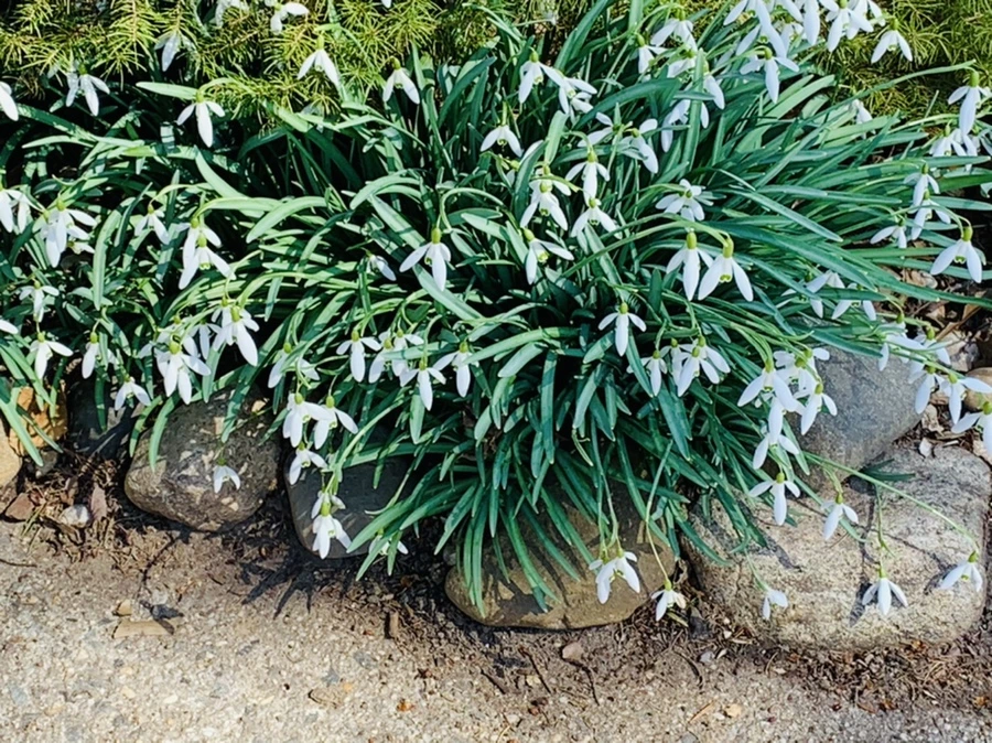 IMG_3140.jpg?type=w966