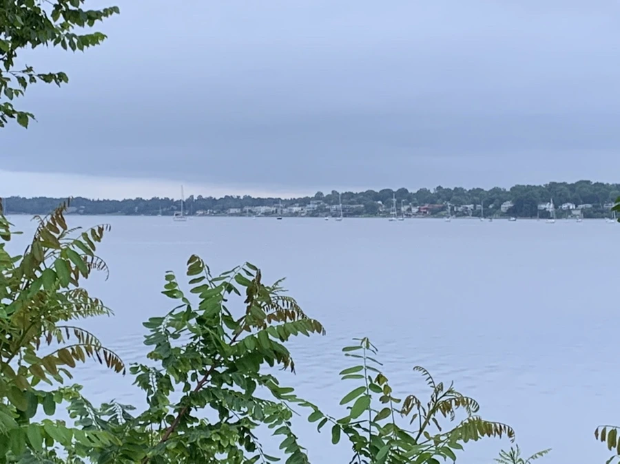 IMG_6936.jpg?type=w966