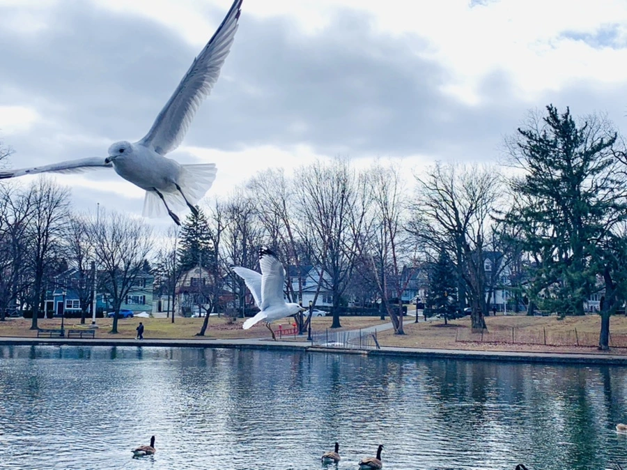 IMG_7774.jpg?type=w966