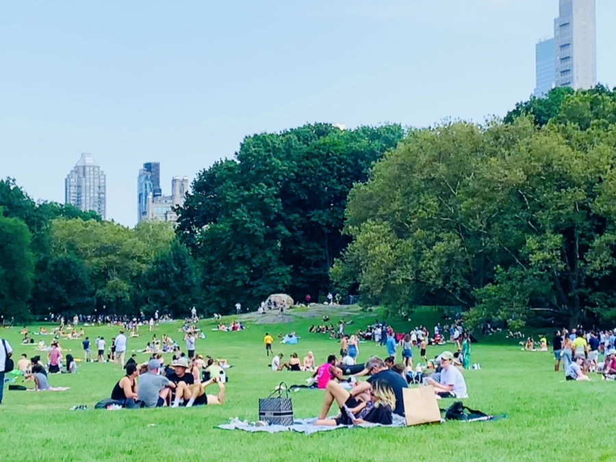 IMG_0579.jpg?type=w966