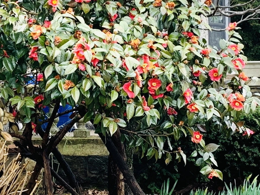 IMG_3774.jpg?type=w966