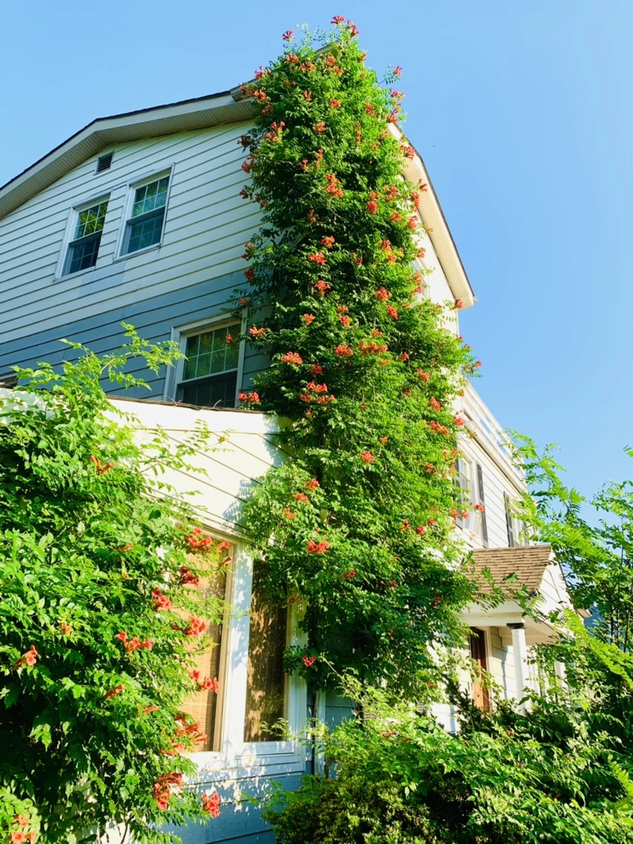 IMG_8244.jpg?type=w966