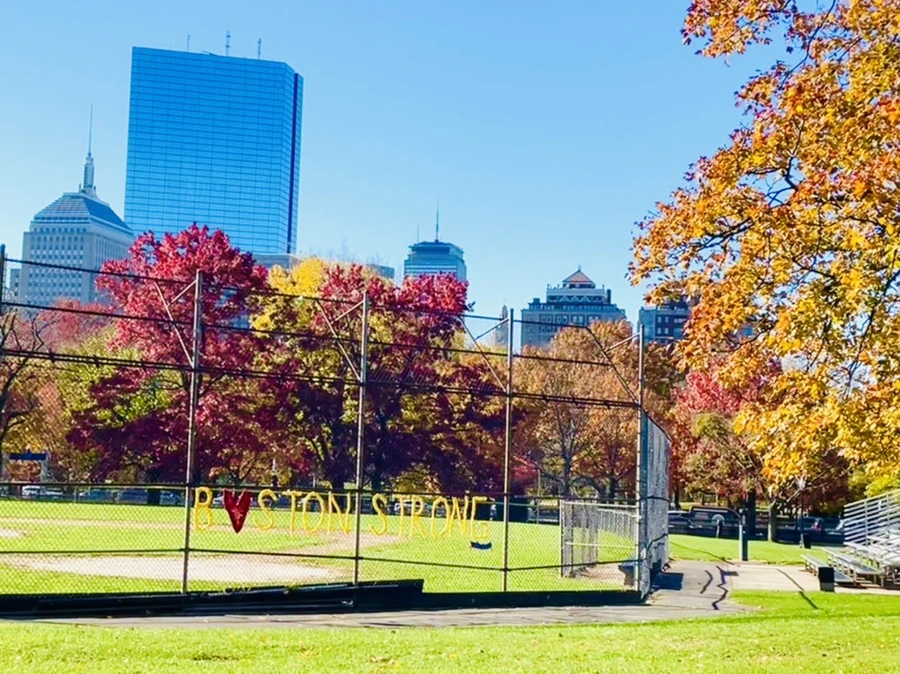 IMG_2523.jpg?type=w966