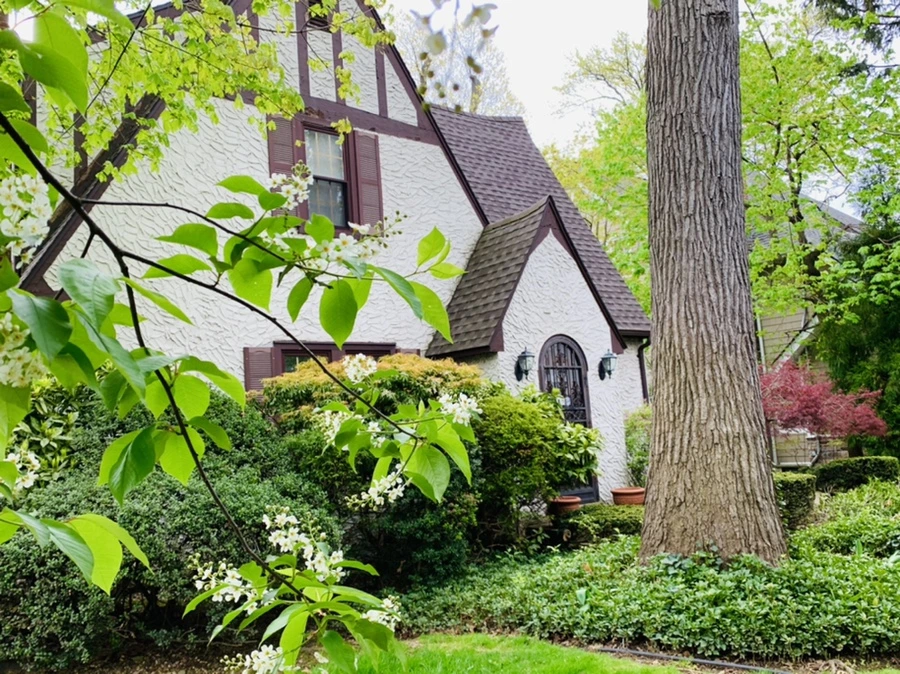 IMG_6113.jpg?type=w966