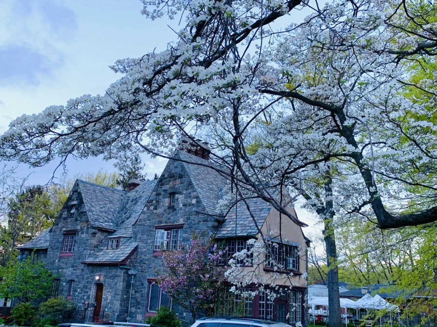 IMG_7569.jpg?type=w966