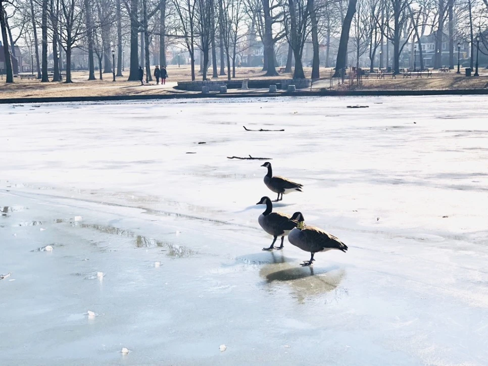 IMG_9243.jpg?type=w966