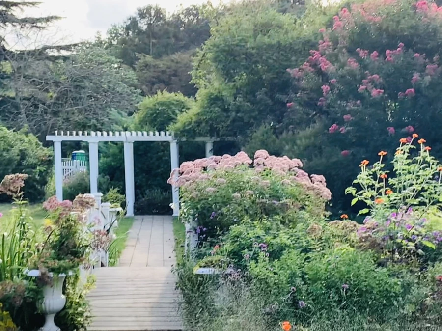 IMG_1239.jpg?type=w966