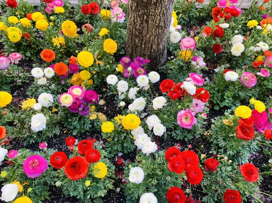 IMG_5415.jpg?type=w966