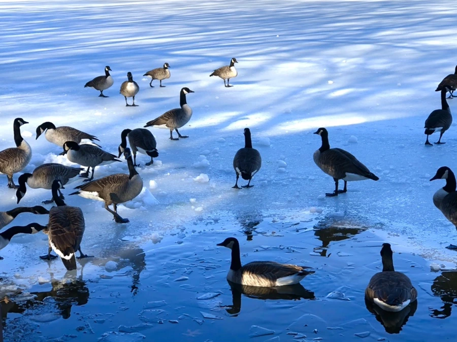 IMG_9929.jpg?type=w966