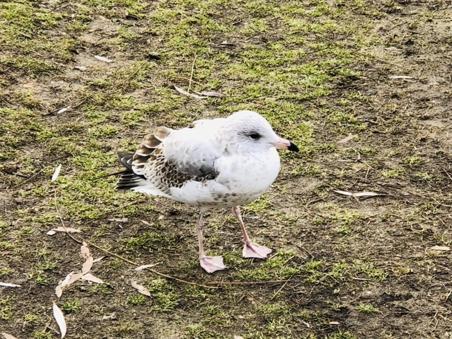 IMG_9905.jpg?type=w966