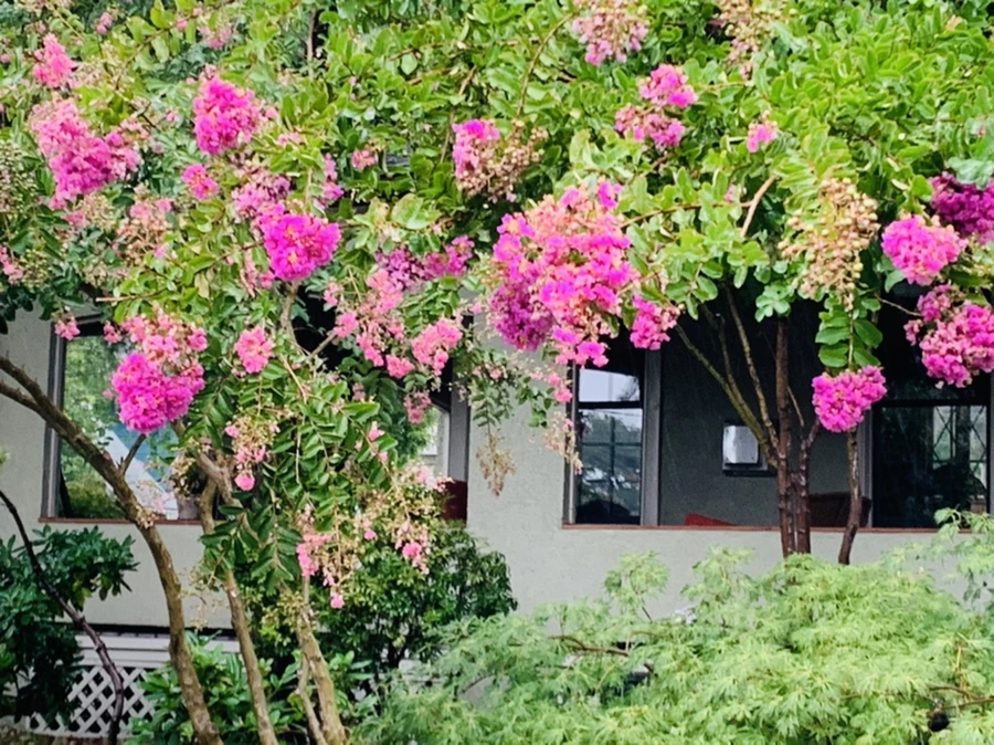 IMG_3793.jpg?type=w966