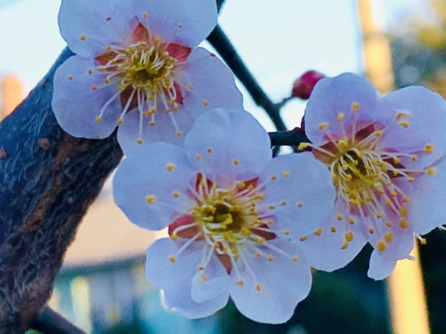 IMG_0840.jpg?type=w966