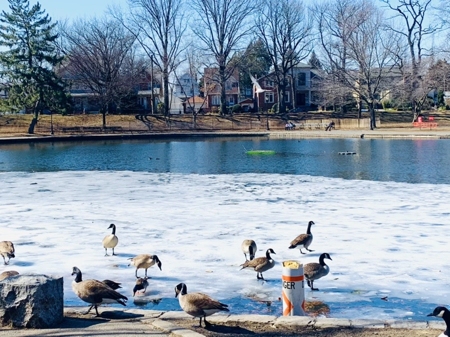 IMG_6895.jpg?type=w966