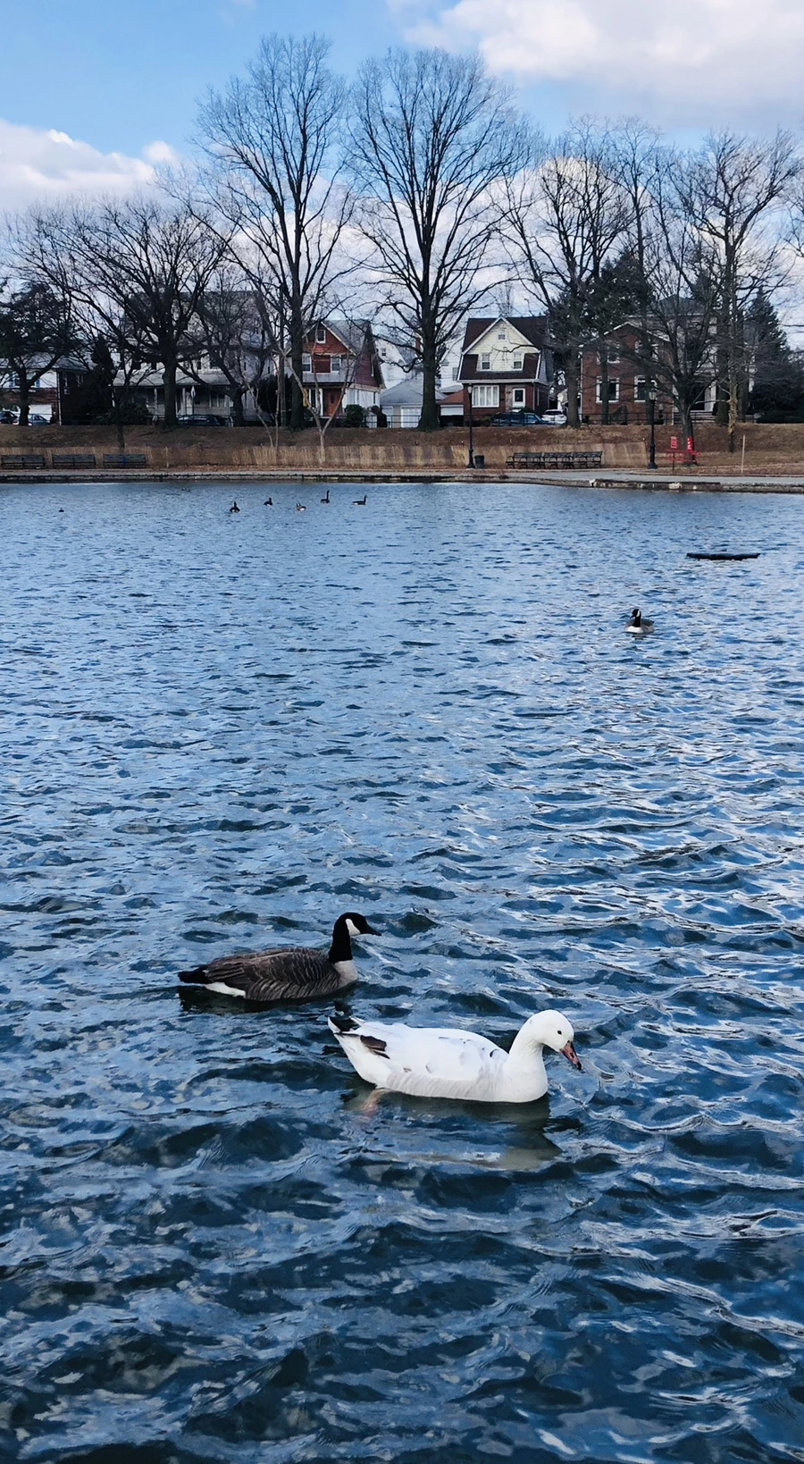 IMG_0149.jpg?type=w966