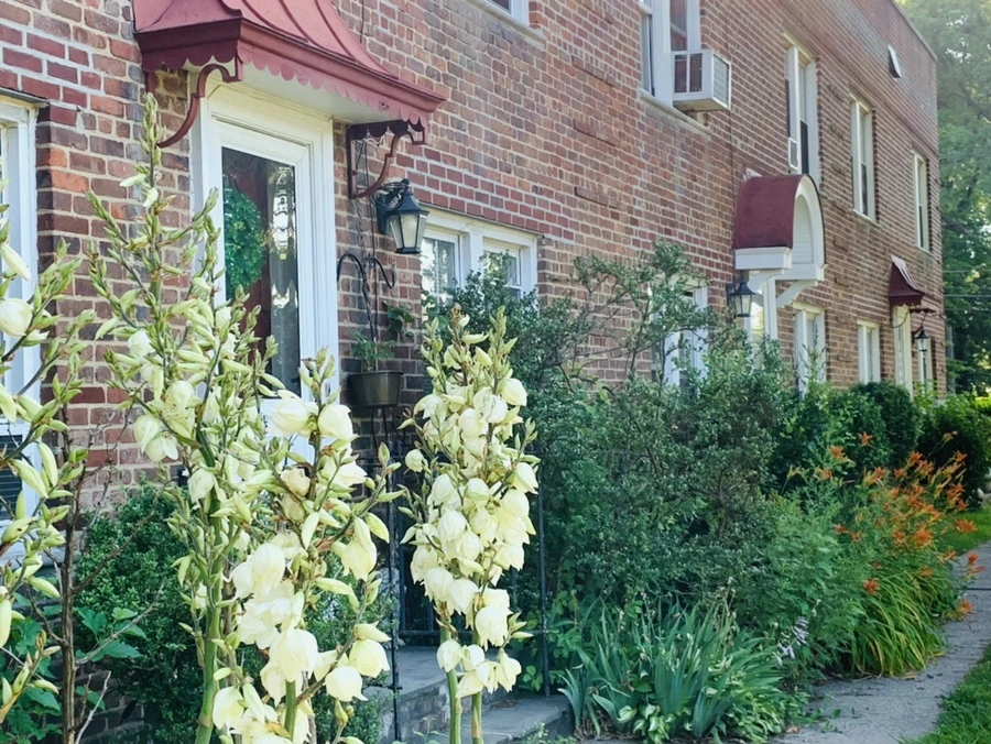 IMG_5328.jpg?type=w966