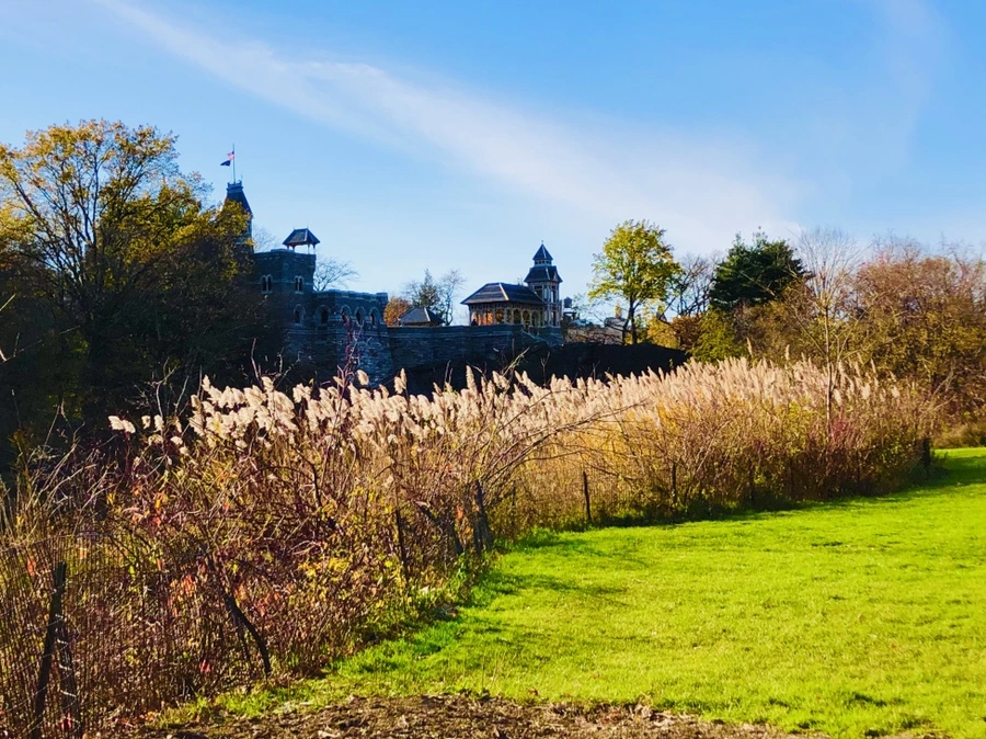 IMG_5313.jpg?type=w966