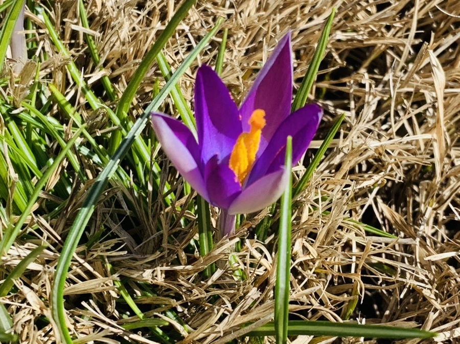 IMG_8232.jpg?type=w966