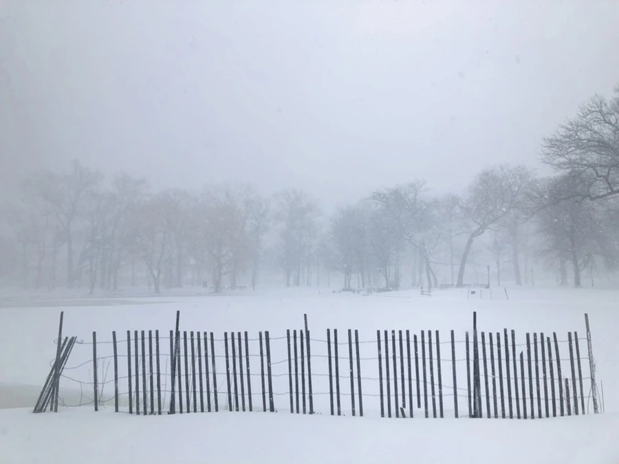 IMG_8817.jpg?type=w966