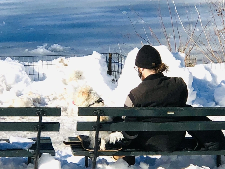 IMG_9803.jpg?type=w966