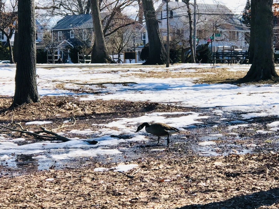 IMG_4671.jpg?type=w966