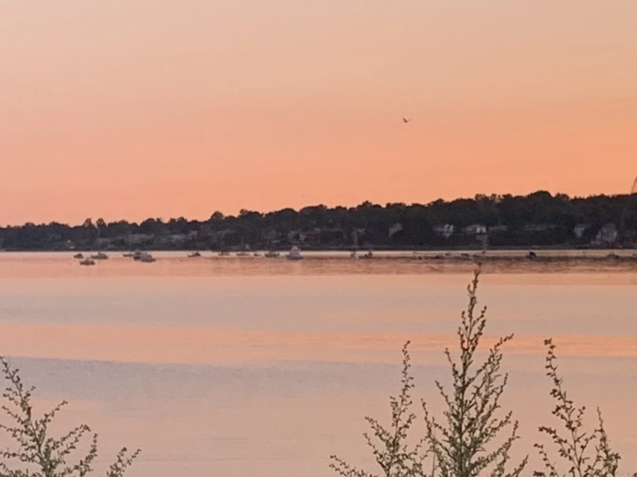 IMG_7467.jpg?type=w966