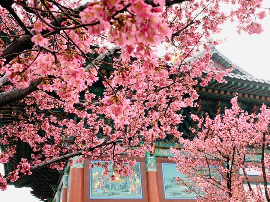 IMG_5216.jpg?type=w966