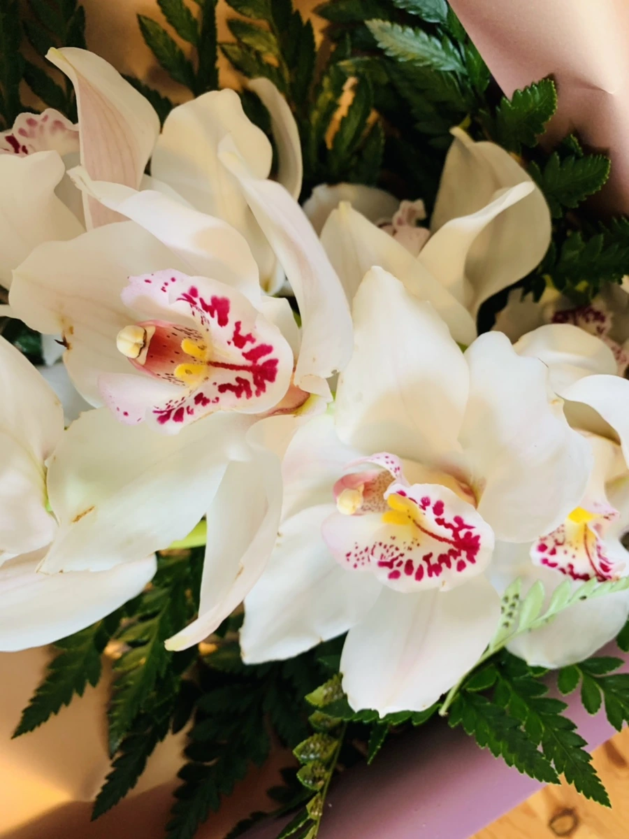 IMG_7417.jpg?type=w966