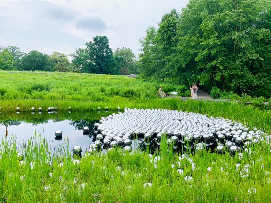 IMG_2672.jpg?type=w966