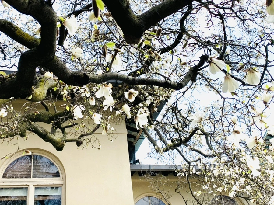 IMG_7159.jpg?type=w966