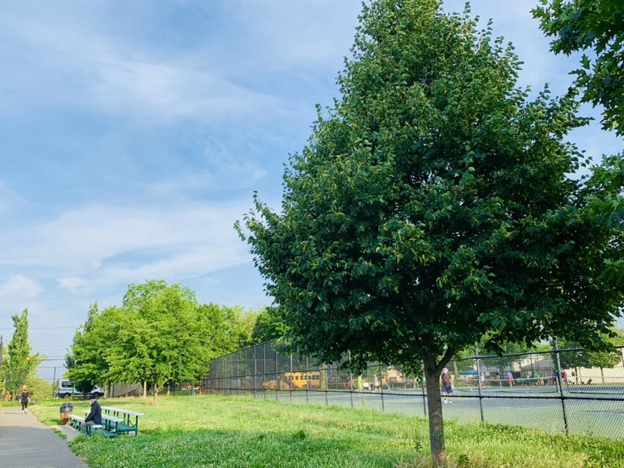 IMG_5632.jpg?type=w966