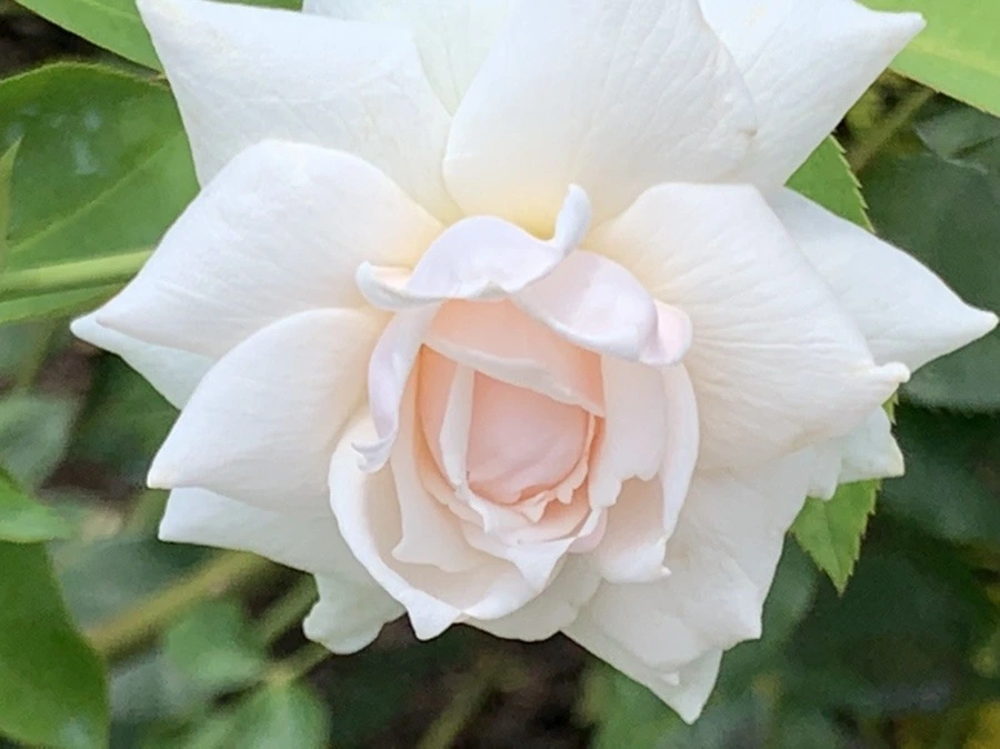 6jlXJmc97nu8GKPBbKu3oz37rWQ