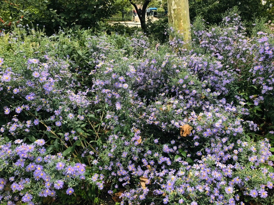 IMG_0990.jpg?type=w966