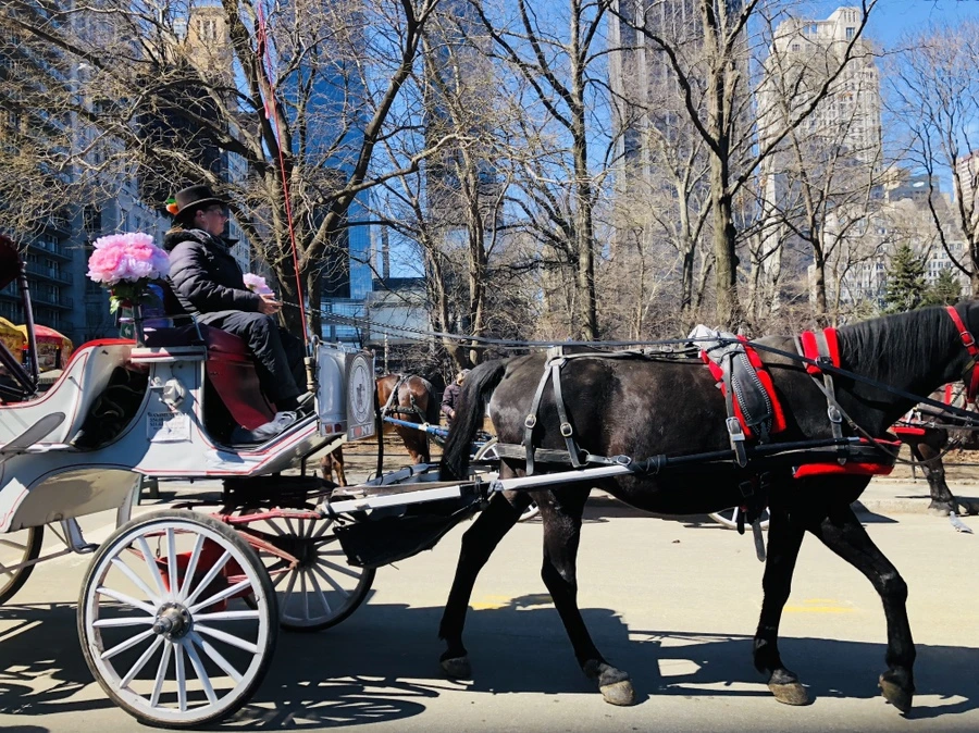 IMG_1196.jpg?type=w966