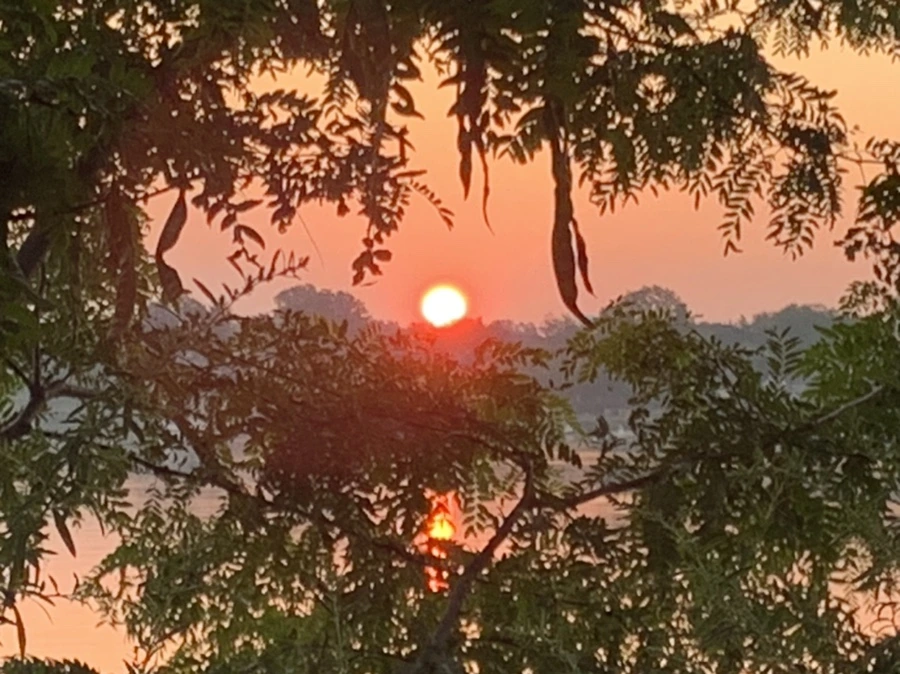 IMG_4401.jpg?type=w966