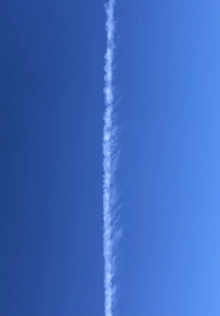 PVcNBzqwU6Wtt9FlFnuS4uJq43k