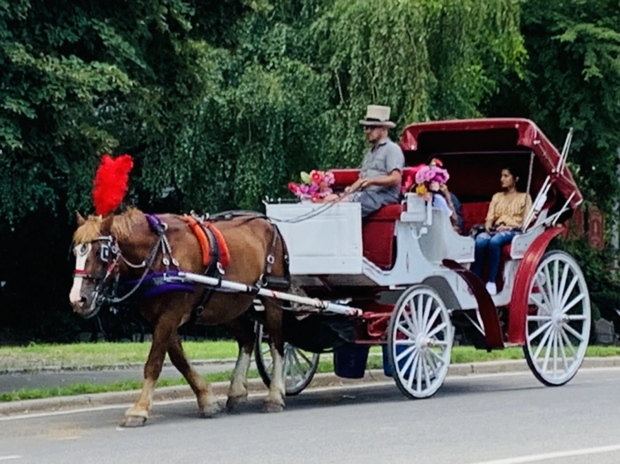 IMG_0571.jpg?type=w966