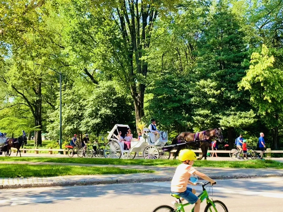 IMG_4525.jpg?type=w966