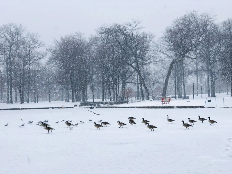 IMG_4071.jpg?type=w966