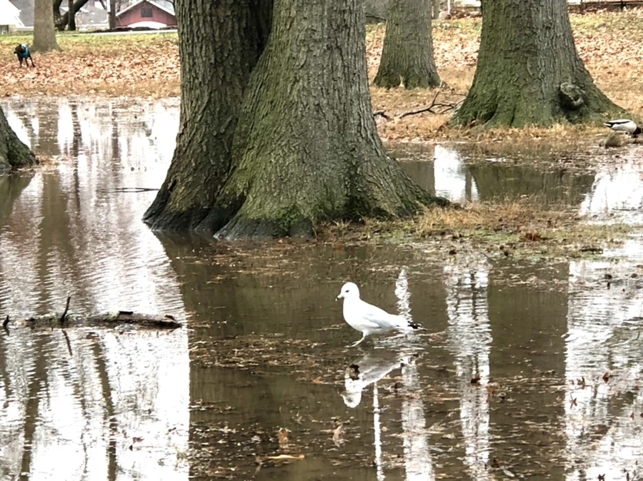 IMG_9427.jpg?type=w966