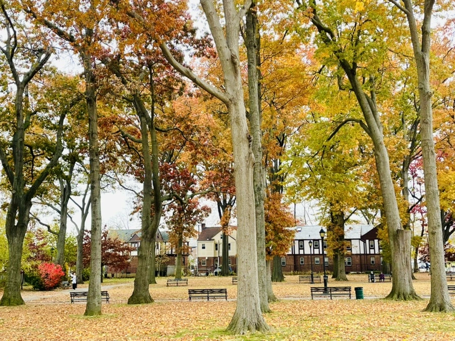 IMG_4494.jpg?type=w966