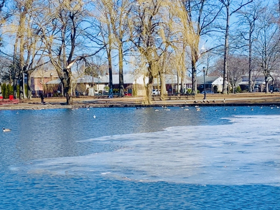 IMG_6796.jpg?type=w966