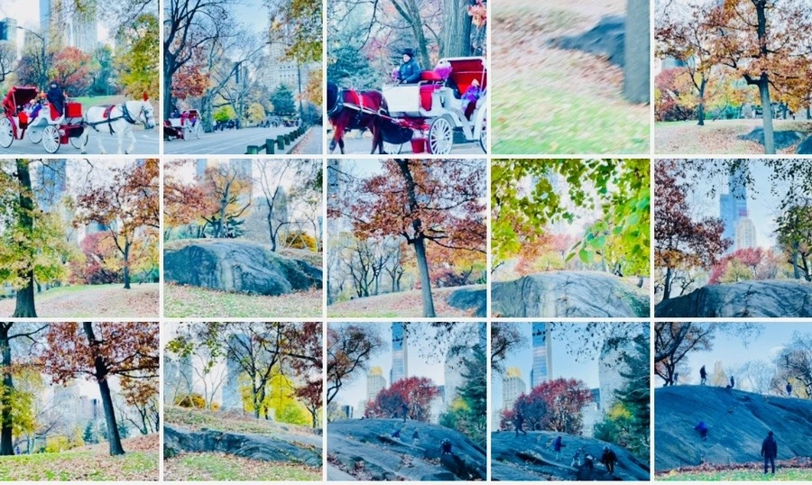 QRpIsYsQh3osJRJ98-Oy8KLHhTo