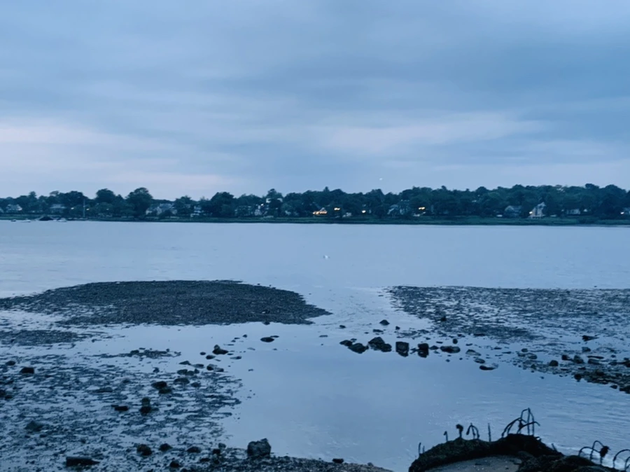 IMG_0694.jpg?type=w966