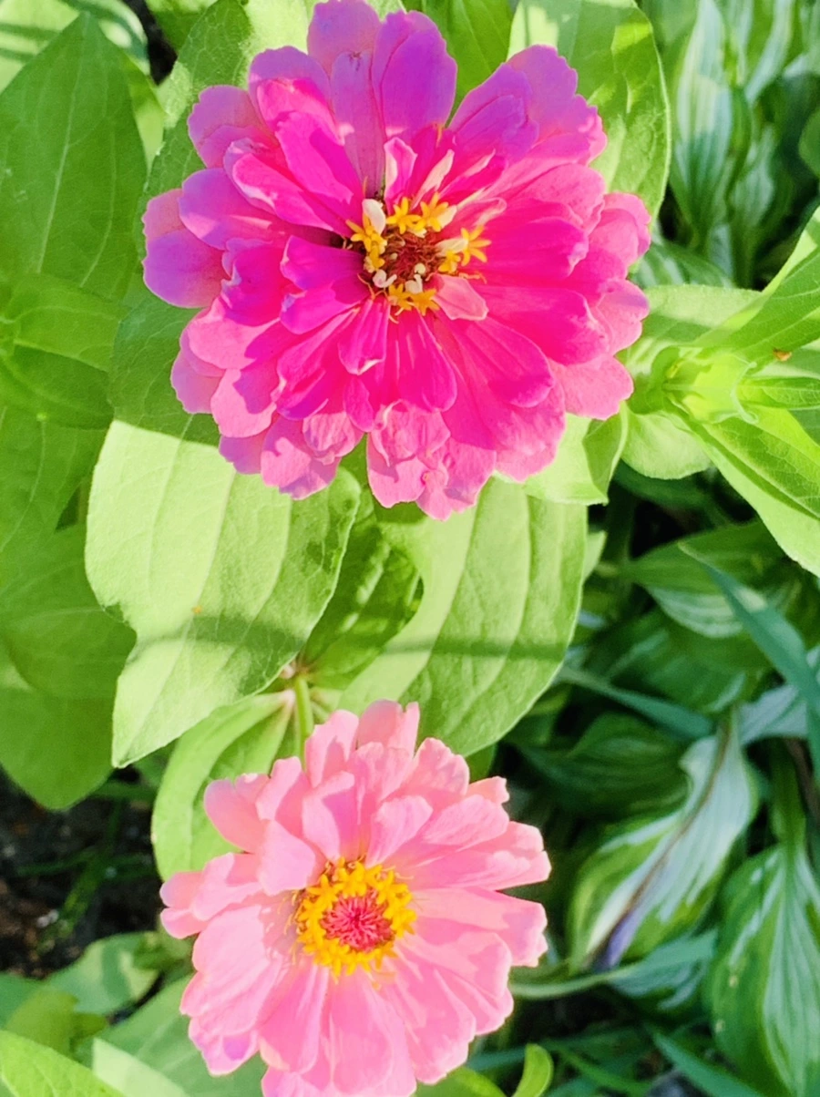 IMG_8724.jpg?type=w966