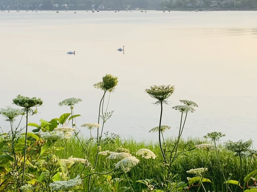 IMG_6218.jpg?type=w966