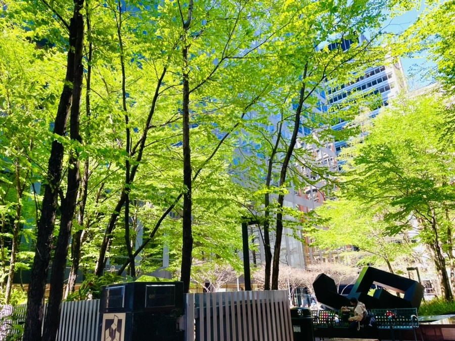 IMG_1483.jpg?type=w966