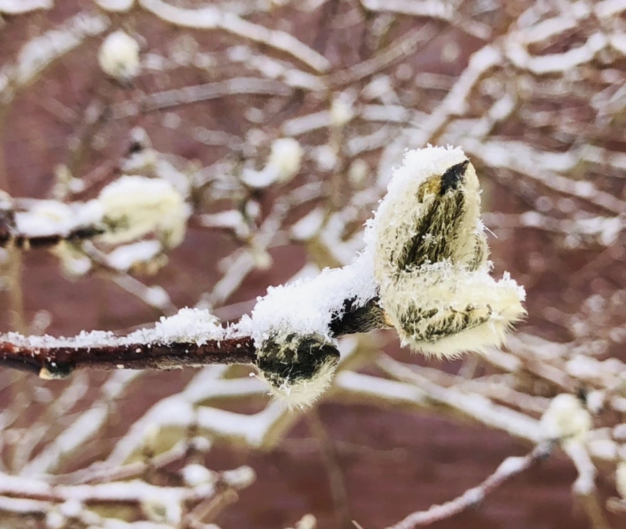 IMG_3563.jpg?type=w966